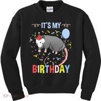 Its My Birthday Opossum Kids Sweatshirt thumb 0