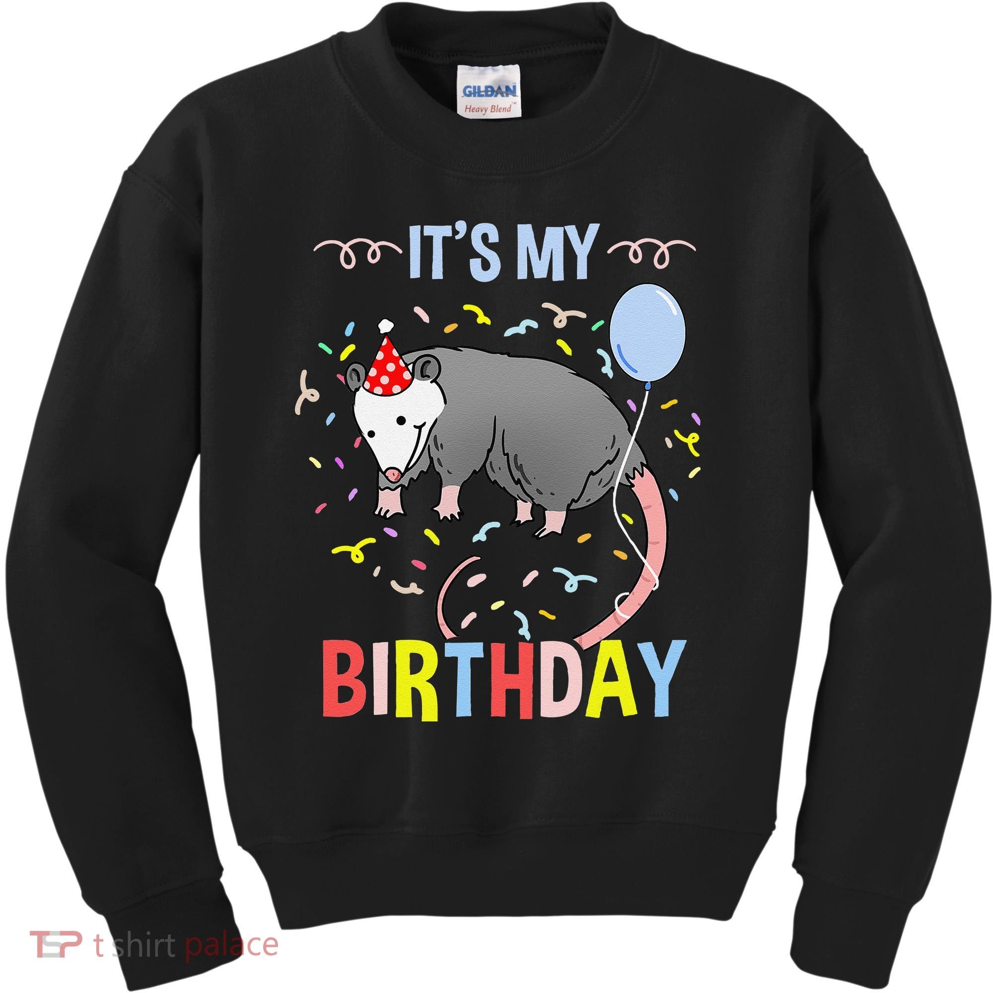 Its My Birthday Opossum Kids Sweatshirt