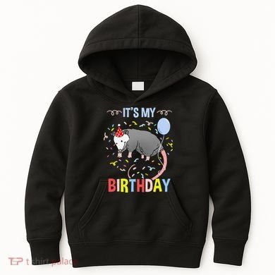 Its My Birthday Opossum Kids Hoodie