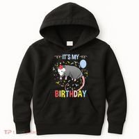 Its My Birthday Opossum Kids Hoodie thumb 0