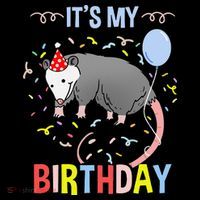 Its My Birthday Opossum Kids Hoodie thumb 5