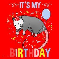 Its My Birthday Opossum Santa Hat thumb 1