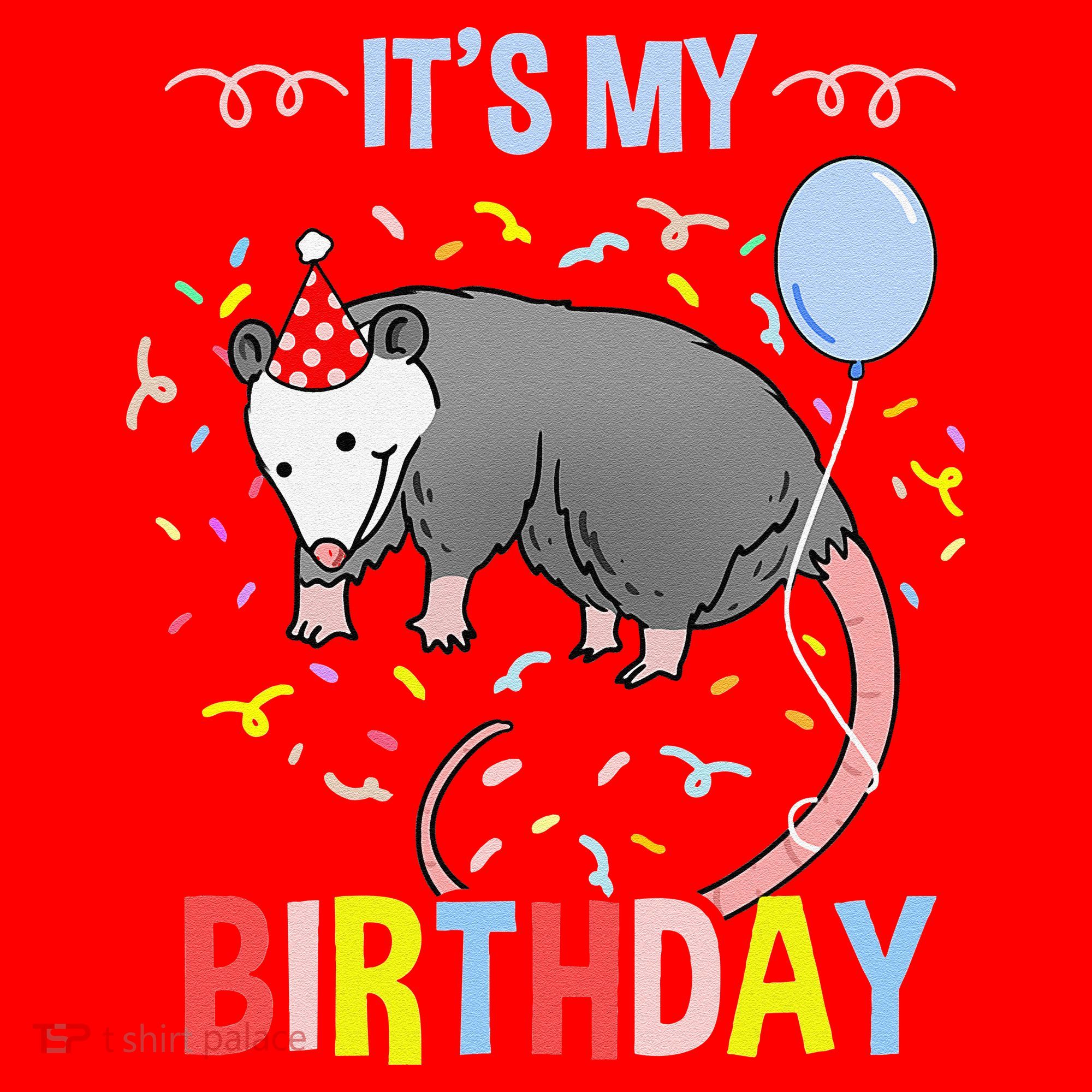 Its My Birthday Opossum Santa Hat