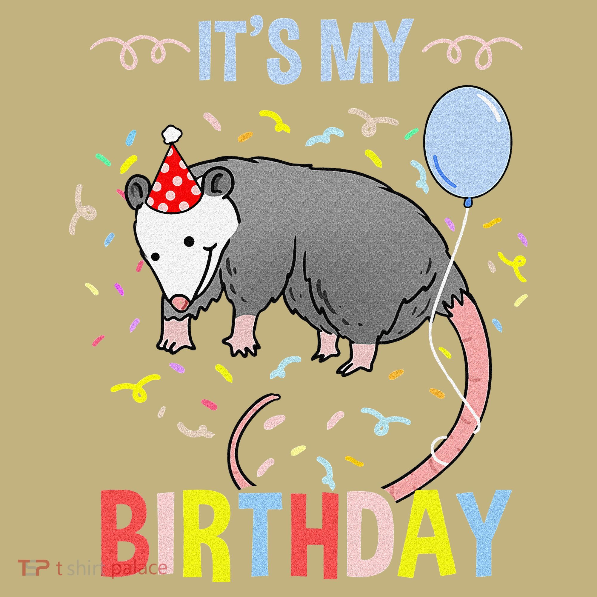 Its My Birthday Opossum Sweatshirt