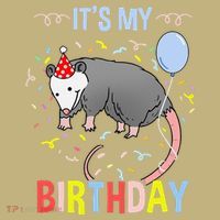 Its My Birthday Opossum T-Shirt thumb 7
