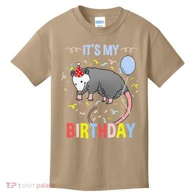 Its My Birthday Opossum Kids T-Shirt