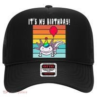 Its My Birthday Axolotl Party Hat & Balloon Hat thumb 0