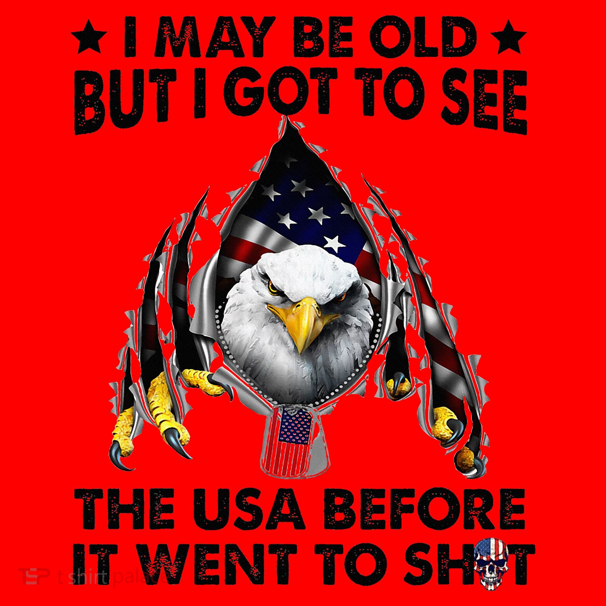 I May Be Old But I Got To See The Usa Before It Went To Shit Santa Hat