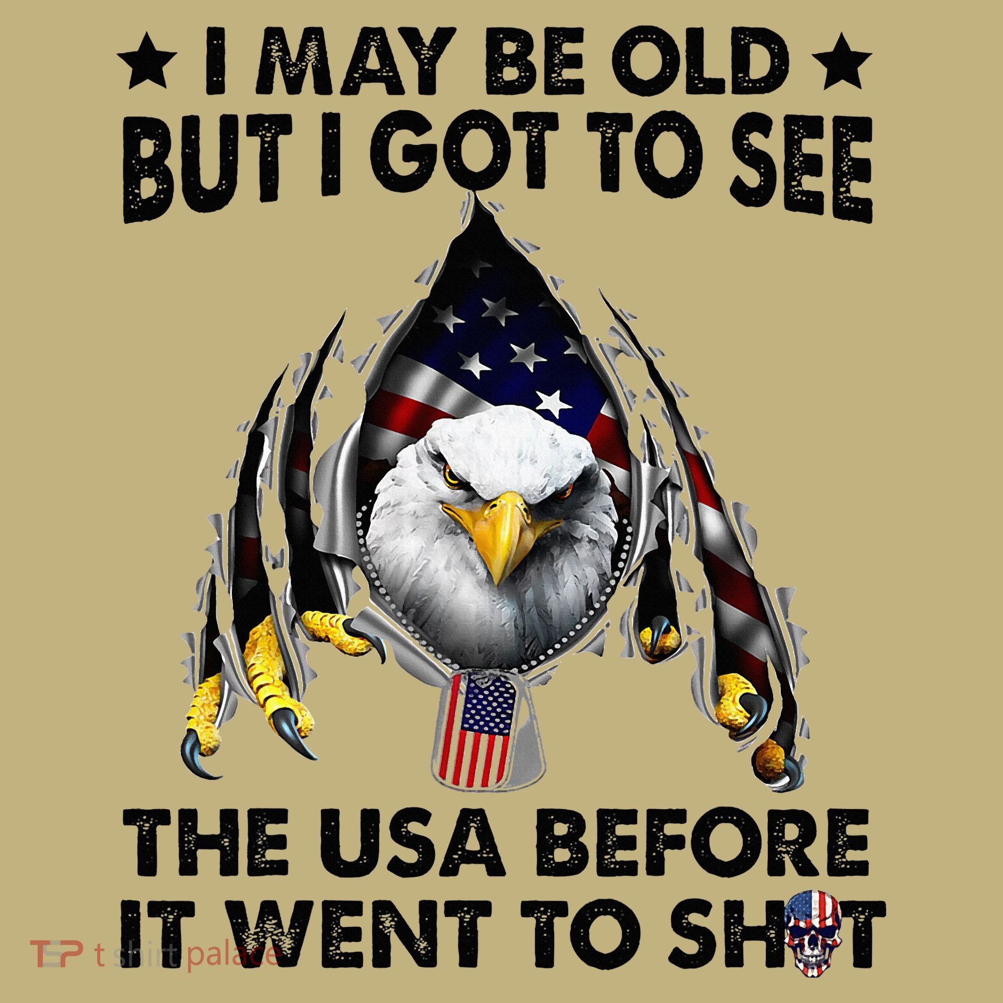I May Be Old But I Got To See The Usa Before It Went To Shit T-Shirt