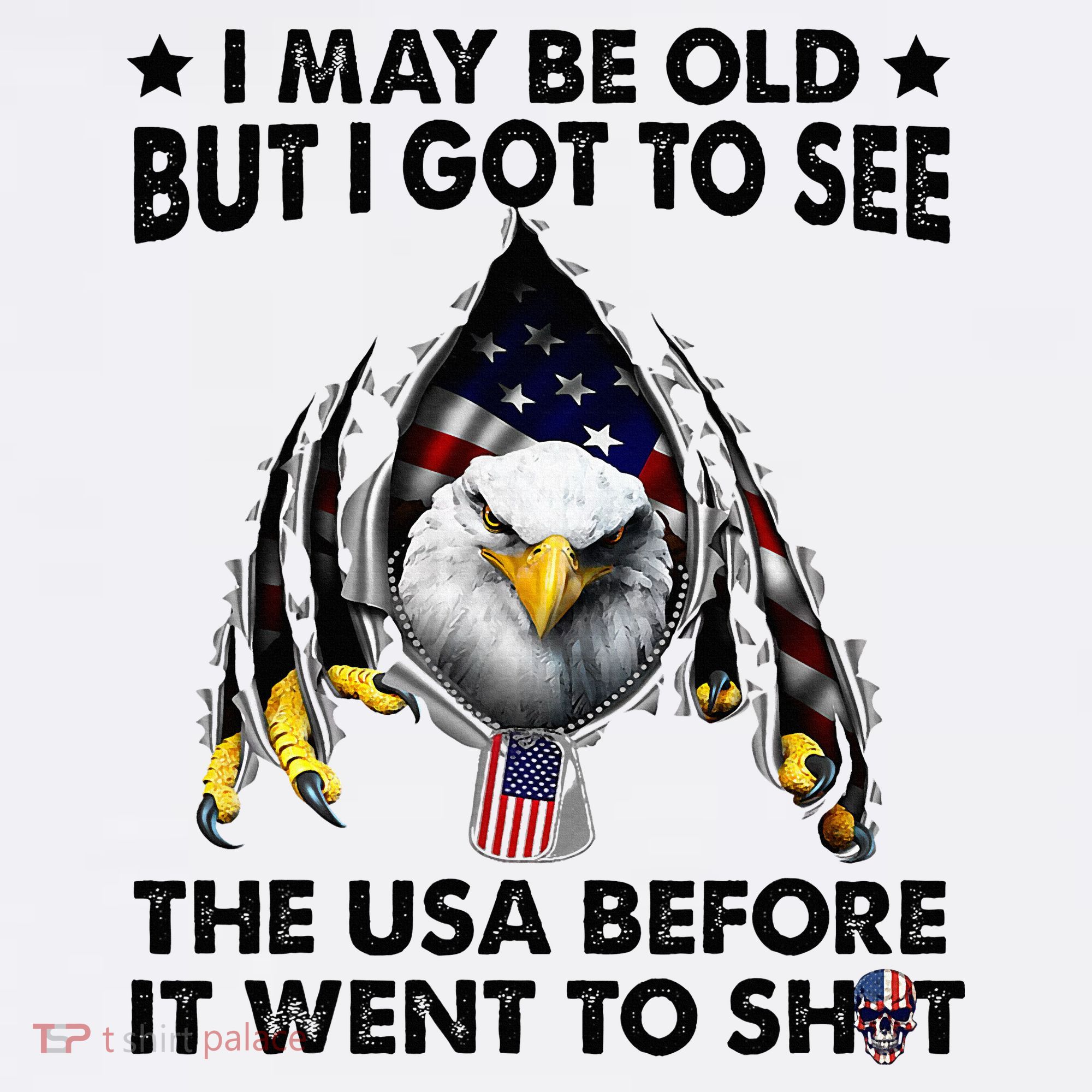 I May Be Old But I Got To See The Usa Before It Went To Shit Ornament
