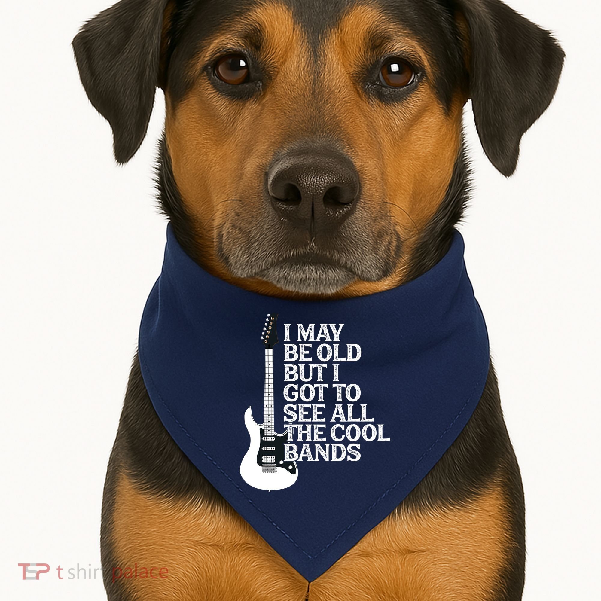 I May Be Old But I Got To See All The Cool Bands USA-Made Doggie Bandana