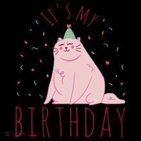 It's My Birthday Cat Women's Hoodie thumb 2