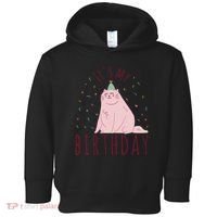 It's My Birthday Cat Toddler Hoodie thumb 0