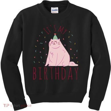 It's My Birthday Cat Kids Sweatshirt