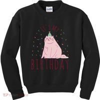 It's My Birthday Cat Kids Sweatshirt thumb 0