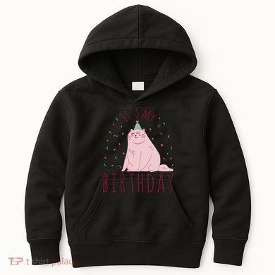 It's My Birthday Cat Kids Hoodie