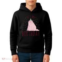 It's My Birthday Cat Kids Hoodie thumb 4