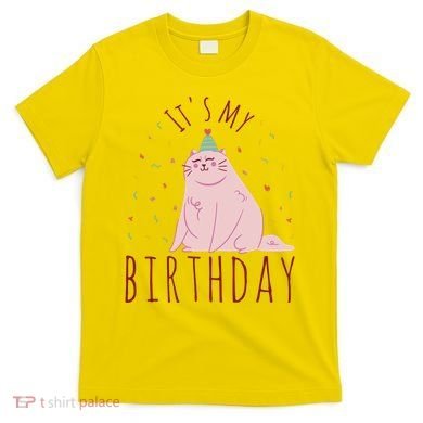 It's My Birthday Cat T-Shirt