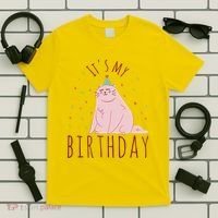 It's My Birthday Cat T-Shirt thumb 5