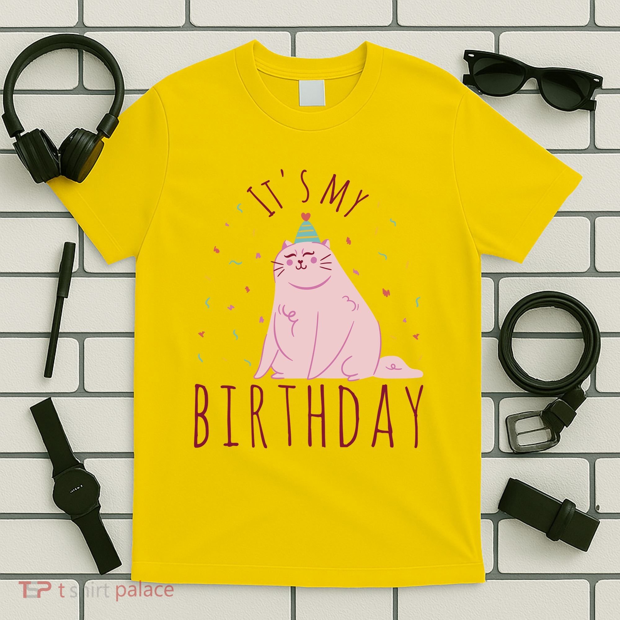 It's My Birthday Cat T-Shirt