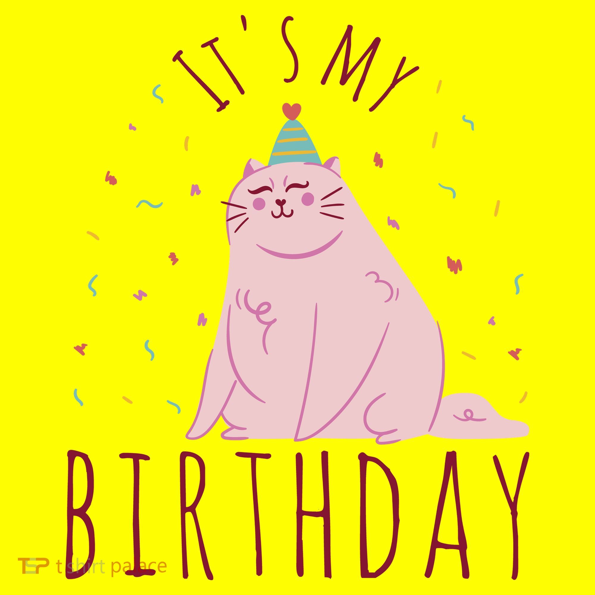 It's My Birthday Cat T-Shirt