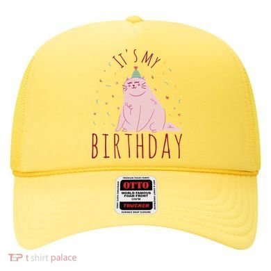 It's My Birthday Cat Hat