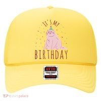 It's My Birthday Cat Hat thumb 0