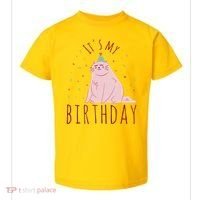 It's My Birthday Cat Toddler T-Shirt thumb 0