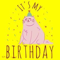 It's My Birthday Cat Women's T-Shirt thumb 6