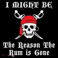 I Might Be The Reason The Rum Is Gone Pirate Day Toddler Hoodie thumb 2