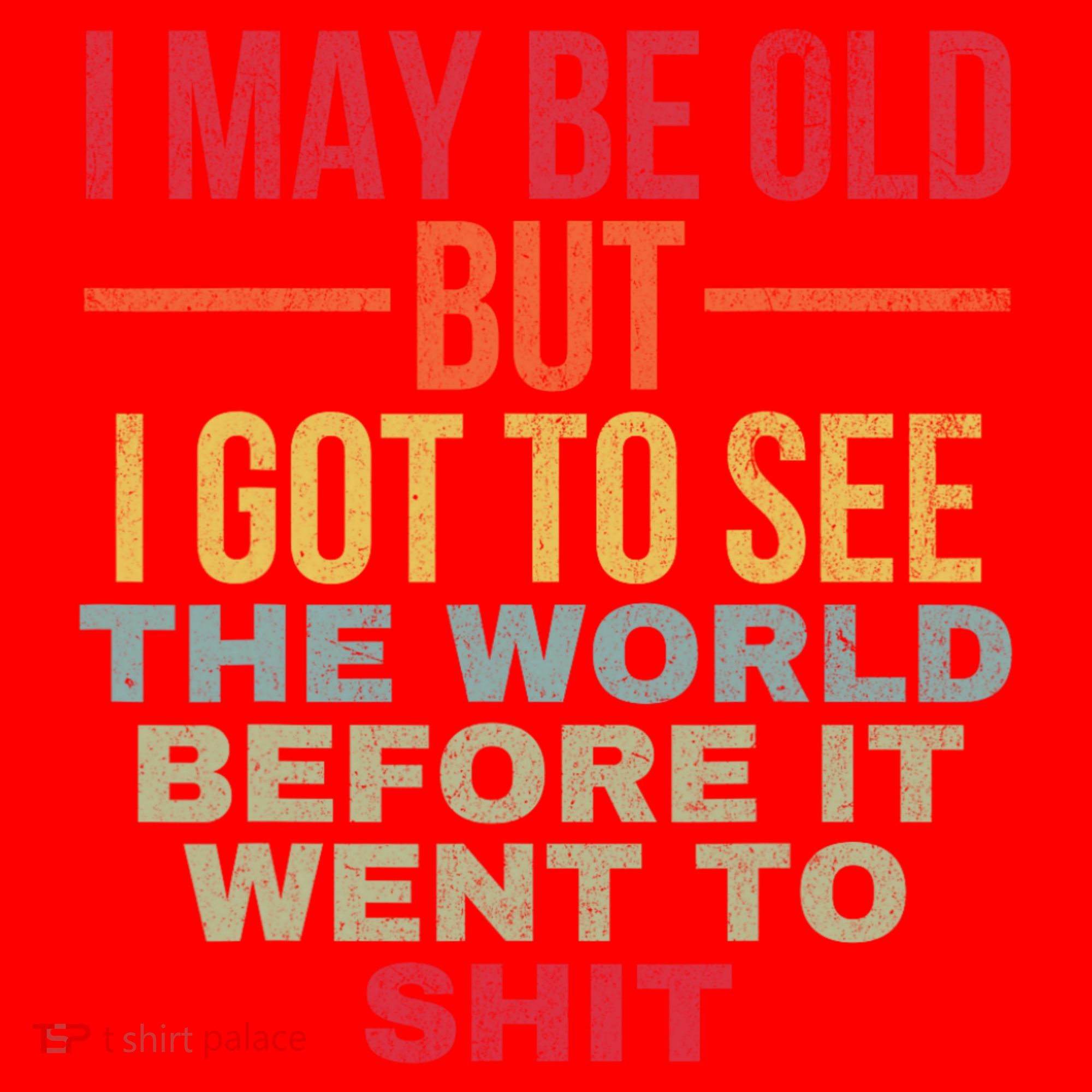 I May Be Old But Got To See The World Before It Went To Santa Hat