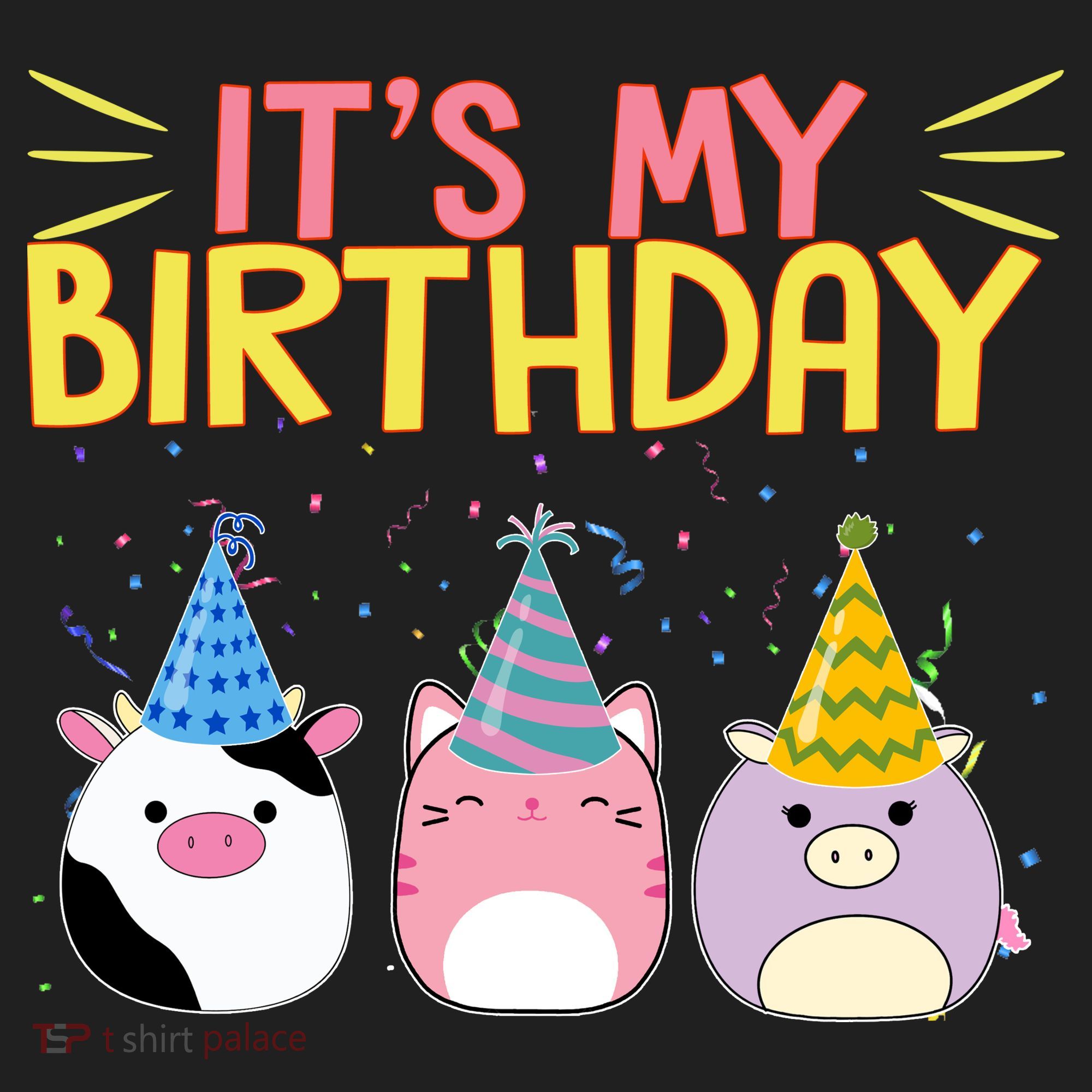 It's My Birthday Boo Cute Women's Sweatshirt