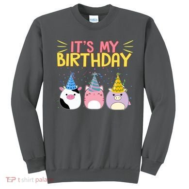 It's My Birthday Boo Cute Sweatshirt