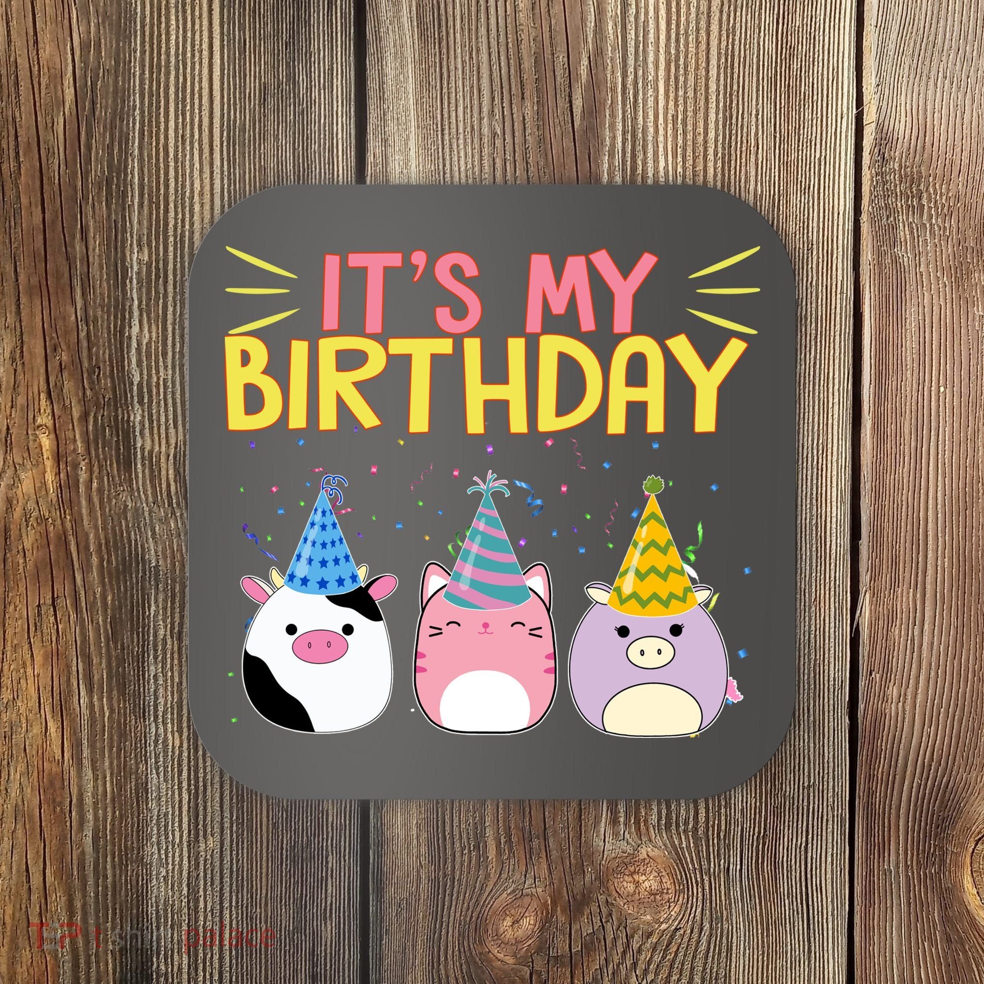 It's My Birthday Boo Cute Coaster