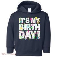 ItS My Birthday Teens Confetti Toddler Hoodie thumb 0