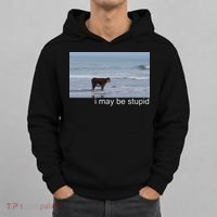 I May Be Stupid Funny Hoodie thumb 0