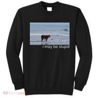 I May Be Stupid Funny Sweatshirt thumb 0