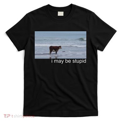 I May Be Stupid Funny T-Shirt