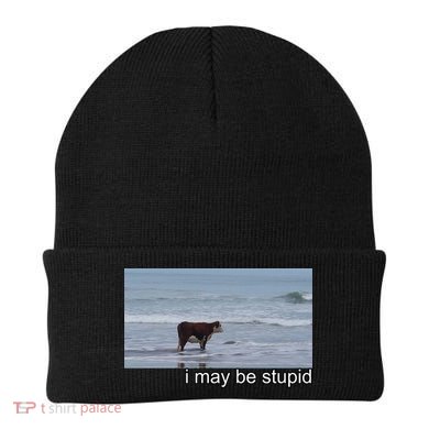 I May Be Stupid Funny Beanie