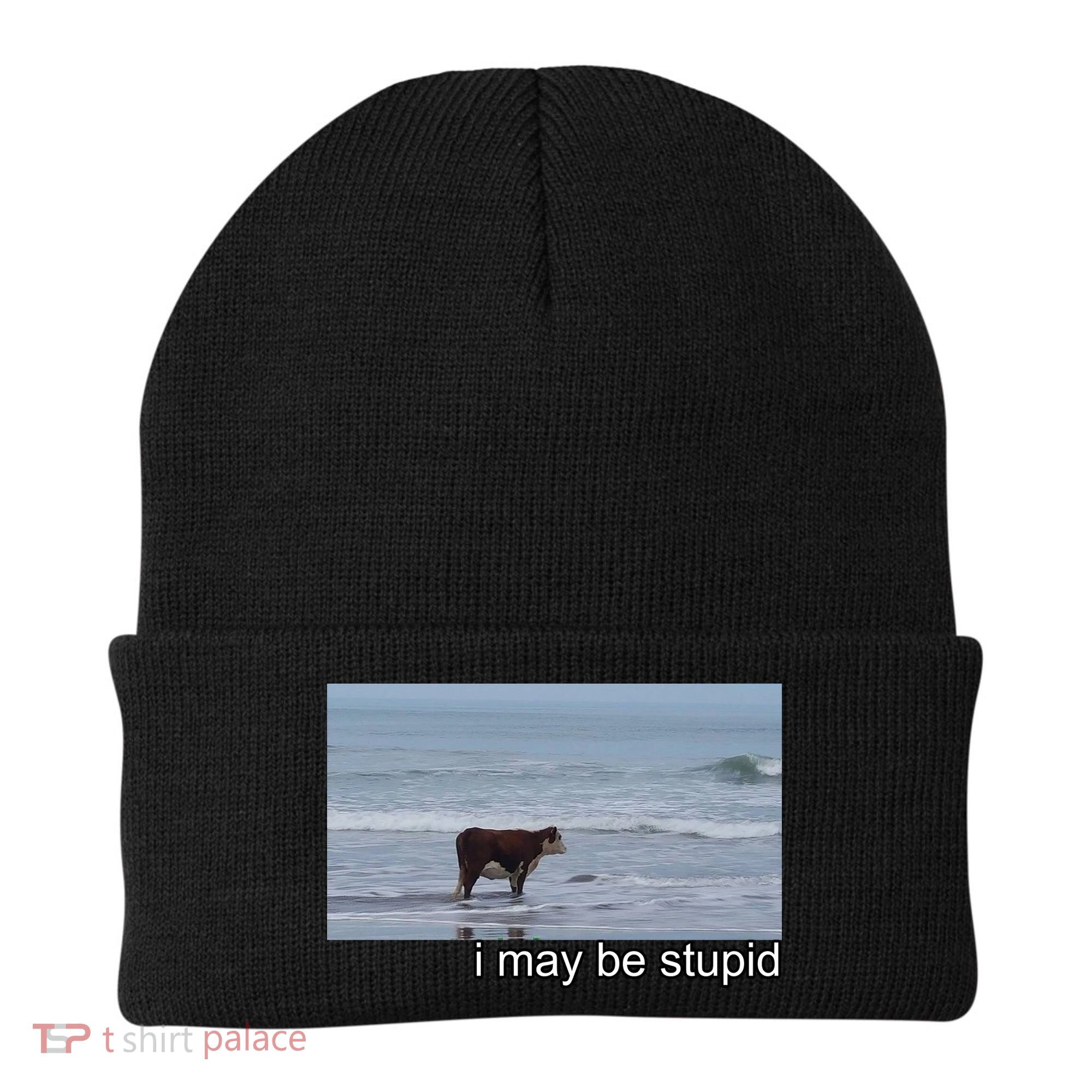 I May Be Stupid Funny Beanie