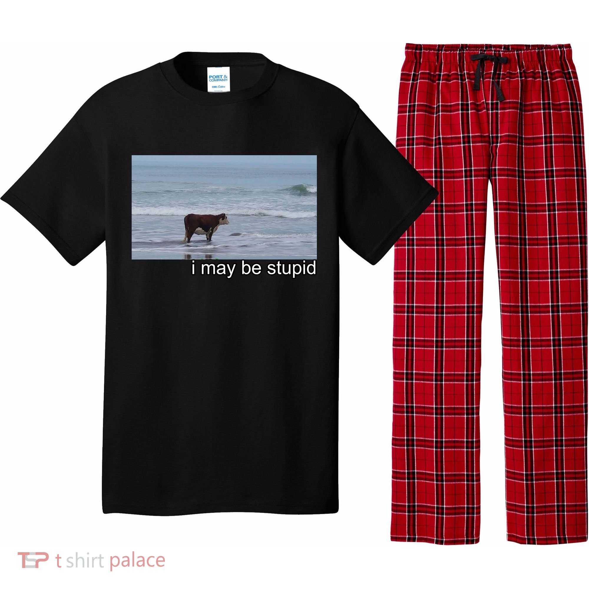 I May Be Stupid Funny Pajama Set