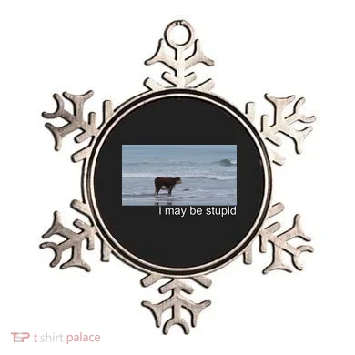 I May Be Stupid Funny Ornament
