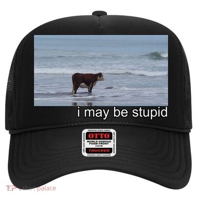 I May Be Stupid Funny Hat