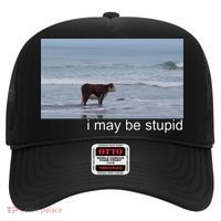 I May Be Stupid Funny Hat thumb 0