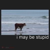I May Be Stupid Funny Hat thumb 2