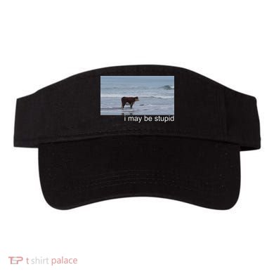 I May Be Stupid Funny Visor