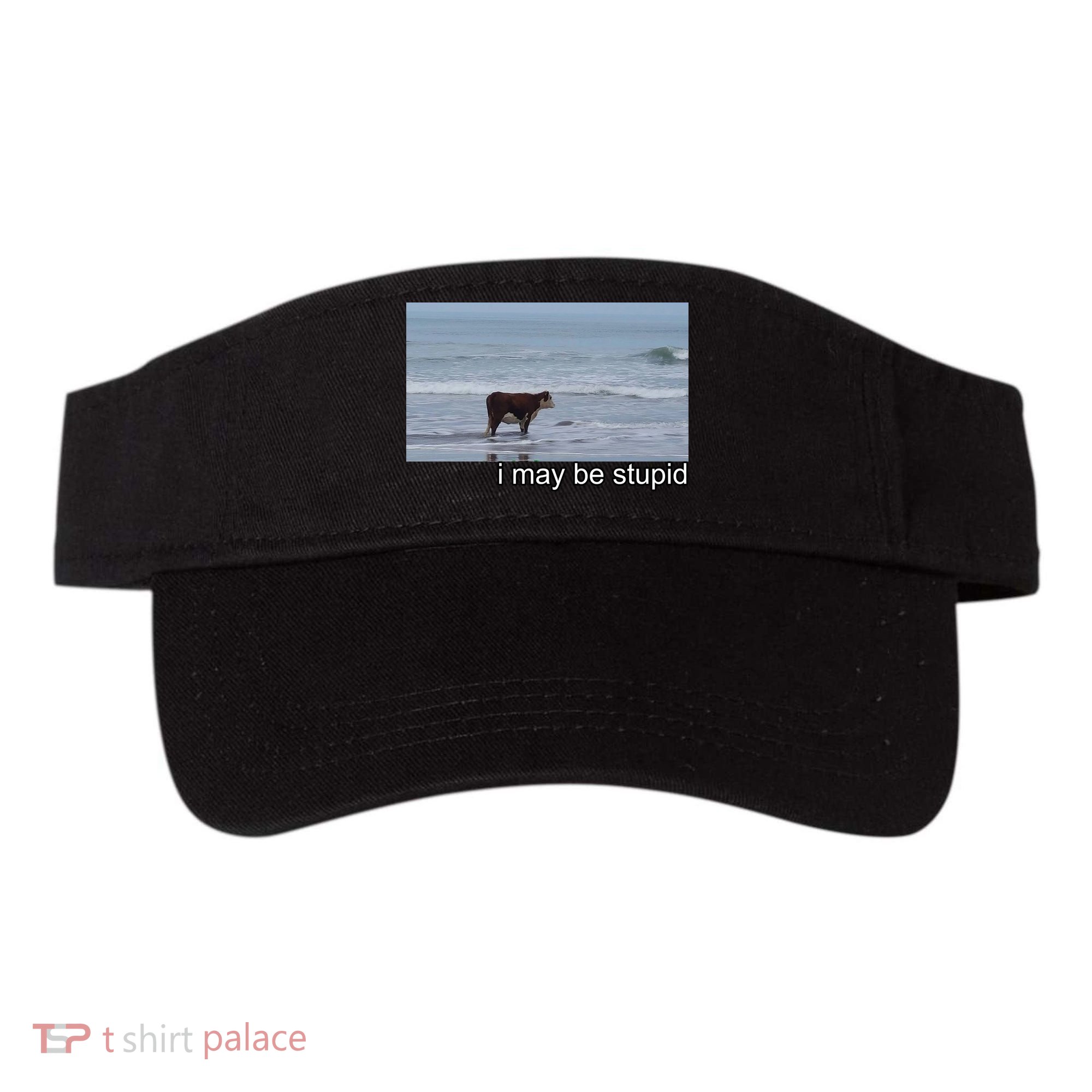 I May Be Stupid Funny Visor