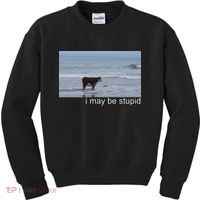 I May Be Stupid Funny Kids Sweatshirt thumb 0
