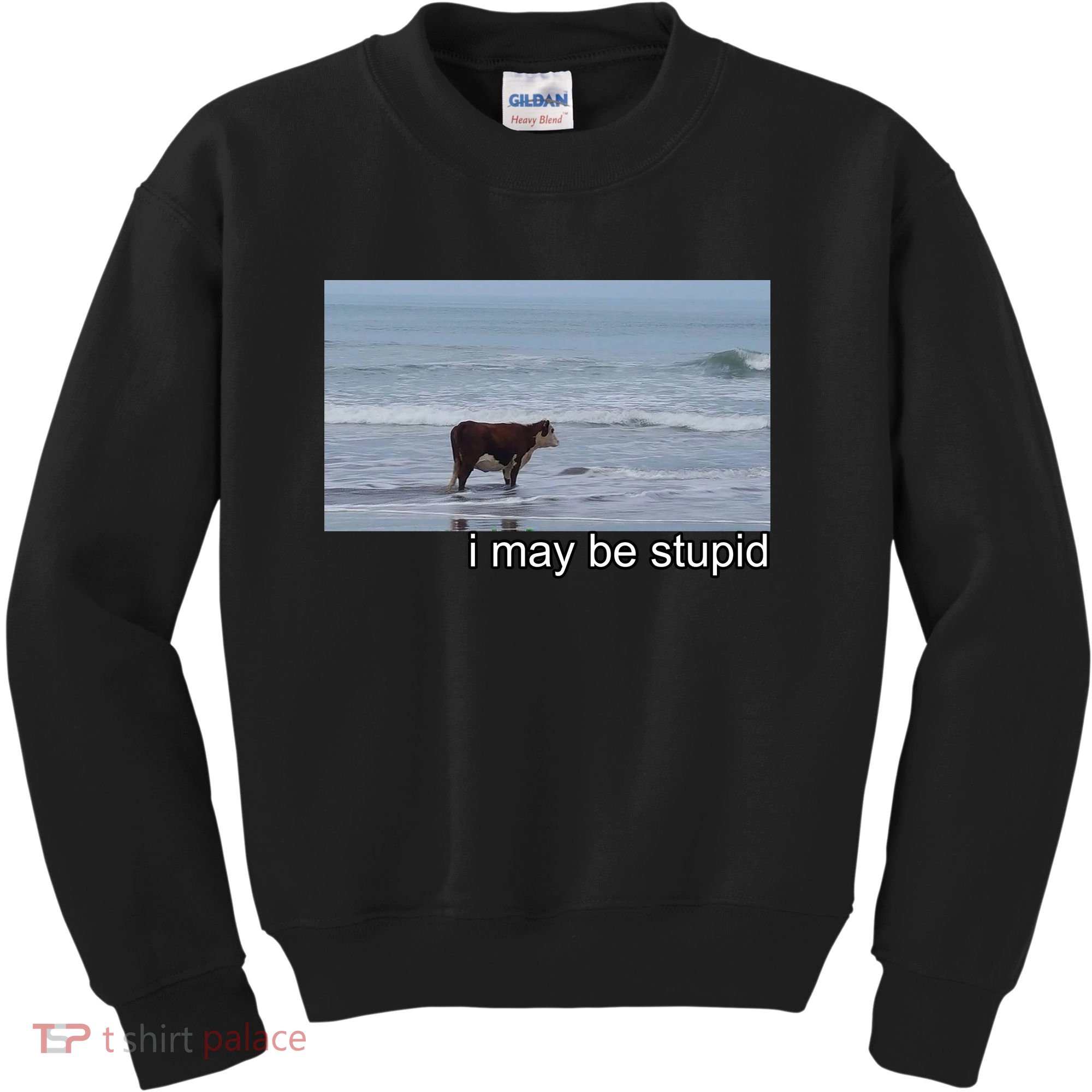 I May Be Stupid Funny Kids Sweatshirt