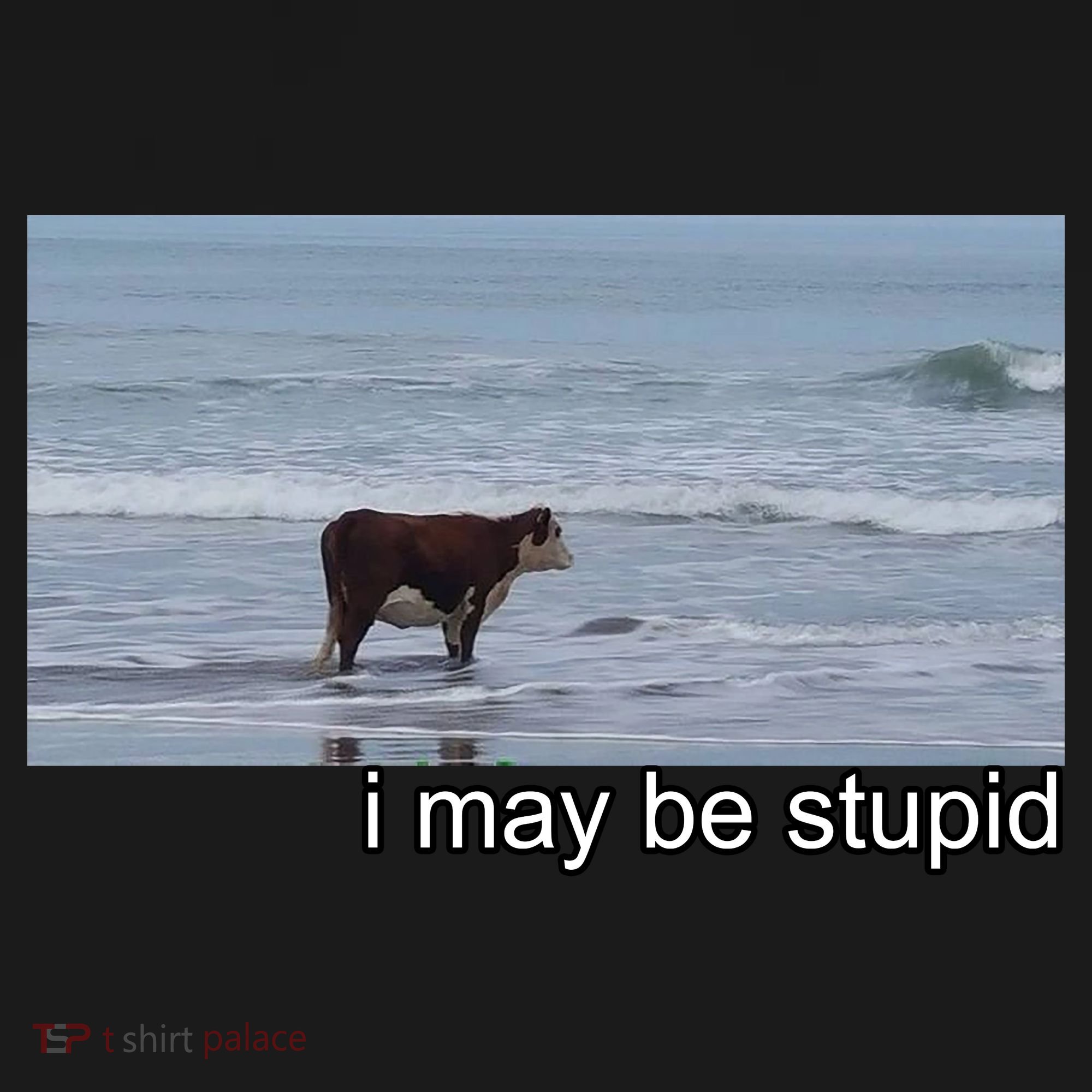 I May Be Stupid Funny Kids Sweatshirt